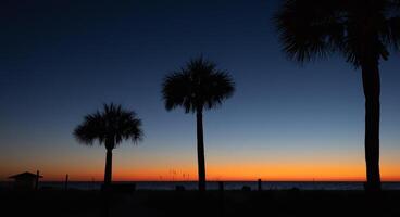 A sunset with palm trees in the background photo