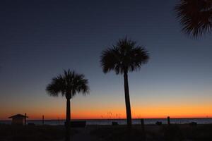 A sunset over the ocean with palm trees in the background photo