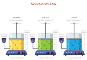 Understanding Avogadro's Law The Relationship Between Gas Volume and Molecules vector