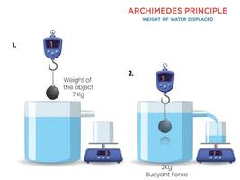 Weight of Water Displacement and Archimedes' Principle Explained vector