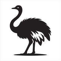 Ostrich EPS file vector