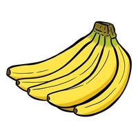 Yellow banana illustration, isolated on white background. Perfect for food related graphics or educational materials. Banana illustration with outline. vector