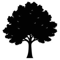 oak-tree silhouette on whit background vector