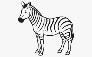 Abstract Zebra Line Drawing vector