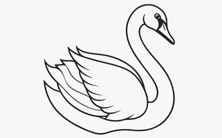 Swan Bird line art image vector