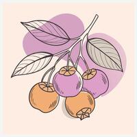 An illustration of a branch with berries vector