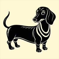 A black and white dachshund dog on a beige background vector