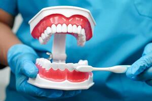 Doctor clean teeth denture with toothbrush for teach patient and dentist studying about dentistry. photo