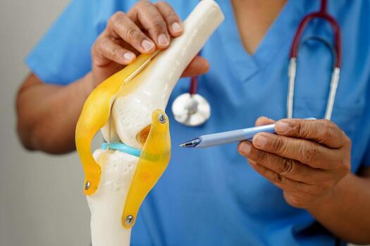 Knee osteoarthritis, Doctor showing model knee joint orthopedic. photo