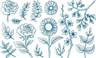 Flower set design with white background. vector