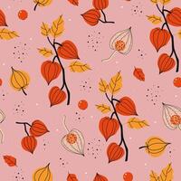 Seamless pattern with autumn physalis in orange colors. graphics vector