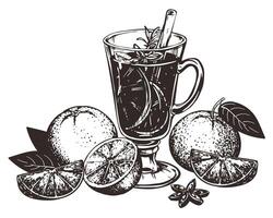 Mulled wine with cinnamon stick, star anise. Glass with warm wine and oranges. Hand drawn illustration. Engraved style of winter alcoholic warming drink with spices. Drawing for menu. vector