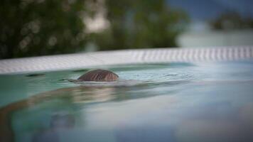 A Relaxing Water Surface with a Beautifully Calm and Peaceful Scenery All Around video