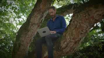 A Man is Working on His Laptop While Sitting Comfortably in a Tree Swaying Gently in the Breeze video