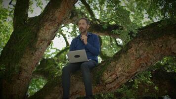 A man is working diligently on his laptop while comfortably sitting in a trees branches video