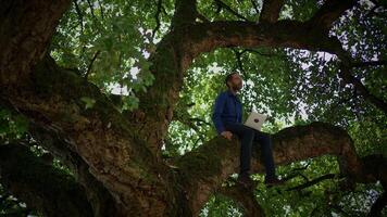 A person is seen enthusiastically working on a laptop while situated comfortably in a tree video