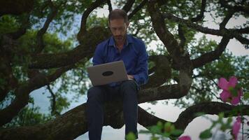 A man is actively working on his laptop while comfortably seated in a tree, enjoying nature video