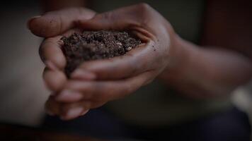Hands Gently Holding Rich Soil A Deep Connection to Nature and the Environment Around Us video