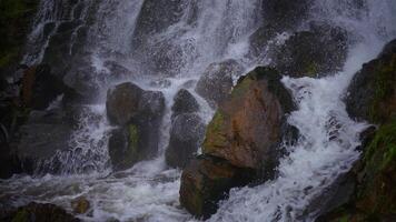 A Serene Waterfall Gently Cascading Over Rocks in the Heart of Natures Splendor video