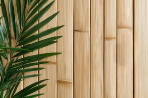 Bamboo room divider in an openconcept living space, creating a natural and sustainable home atmosphere, modern minimalist decor photo