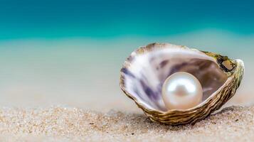 Close-up of an oyster with a beautiful pearl on sand by the beach. photo