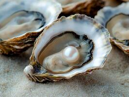 Fresh oysters with pearls on sandy surface, perfect for culinary presentations. photo