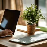 A person working on a laptop with a small potted plant on a wooden desk. photo