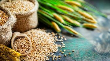 Natural grains, burlap bags, and green wheat on a rustic wooden surface. photo