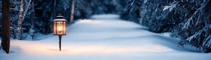 Snow-covered path illuminated by a lantern, surrounded by peaceful winter trees. photo