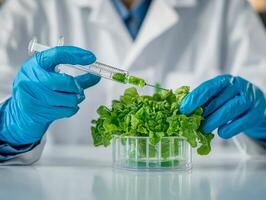 Scientist injecting green liquid into fresh lettuce in laboratory setting. photo
