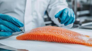 Fresh salmon being handled with care in a culinary environment. photo