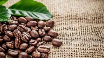 Fresh coffee beans with green leaves on burlap background. photo
