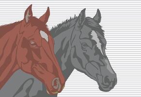 Two head horses with stripes at the background, in brown and gray color Illustration. vector