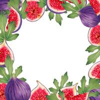 Square frame of whole figs and pieces with leaves. Botanical illustration with watercolors and markers.Tropical berries background with space for text.Hand drawn isolated art.For food,juice packaging vector