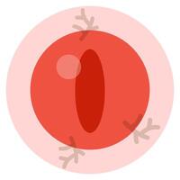 Flat cartoon illustration of Halloween eyeball isolated on white background. vector