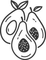 Two avocados are shown in a line drawing vector