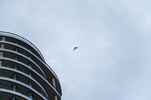 Modern building with bird soaring in cloudy sky background photo