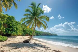 Tropical Beach with Palm Trees and Clear Blue Skies for Perfect Summer Vacation photo