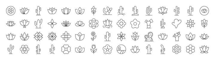 Flower Line Icon Pack. Modern Collection for Design, Web Sites, Apps, Cards. Contains Linear Images of Plants with Petals and Cactuses vector