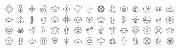 Collection of Flower Related Line Icons. Editable Stroke for Design, Web Sites, Apps, Cards. Contains Linear Images of Plants with Petals and Cactuses vector