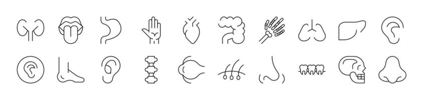 Internal Organs Related Line Icons for Web Sites, Books, Cards, Apps. Editable Stroke. Suitable for Web Sites, Books, Cards, Apps vector