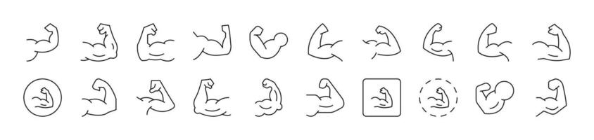 Muscles Bundle of Thin Icons. Editable Stroke. Suitable for Web Sites, Books, Cards, Apps vector
