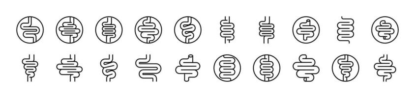 Digestion and Intestine Thin Icons Collection. Editable Stroke. Suitable for Web Sites, Books, Cards, Apps vector