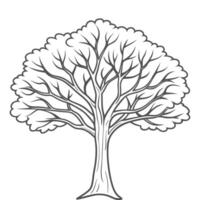 tree outline for kids color vector