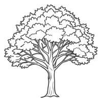 tree outline for children vector