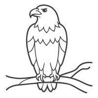 beautiful eagle on a branch vector