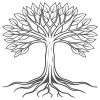 tree outline for children to color vector