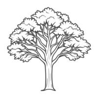 tree outline for coloring books vector