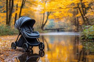 Black Stroller Parked by a Creek in Autumn photo