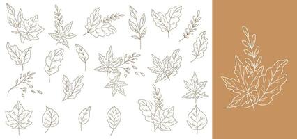 Fall leaves set outline isolated on white. Autumn leaves line art. Leaf Line Art Illustration Hand Drawn. Fall Coloring Page with Leaves. Thanksgiving graphics vector